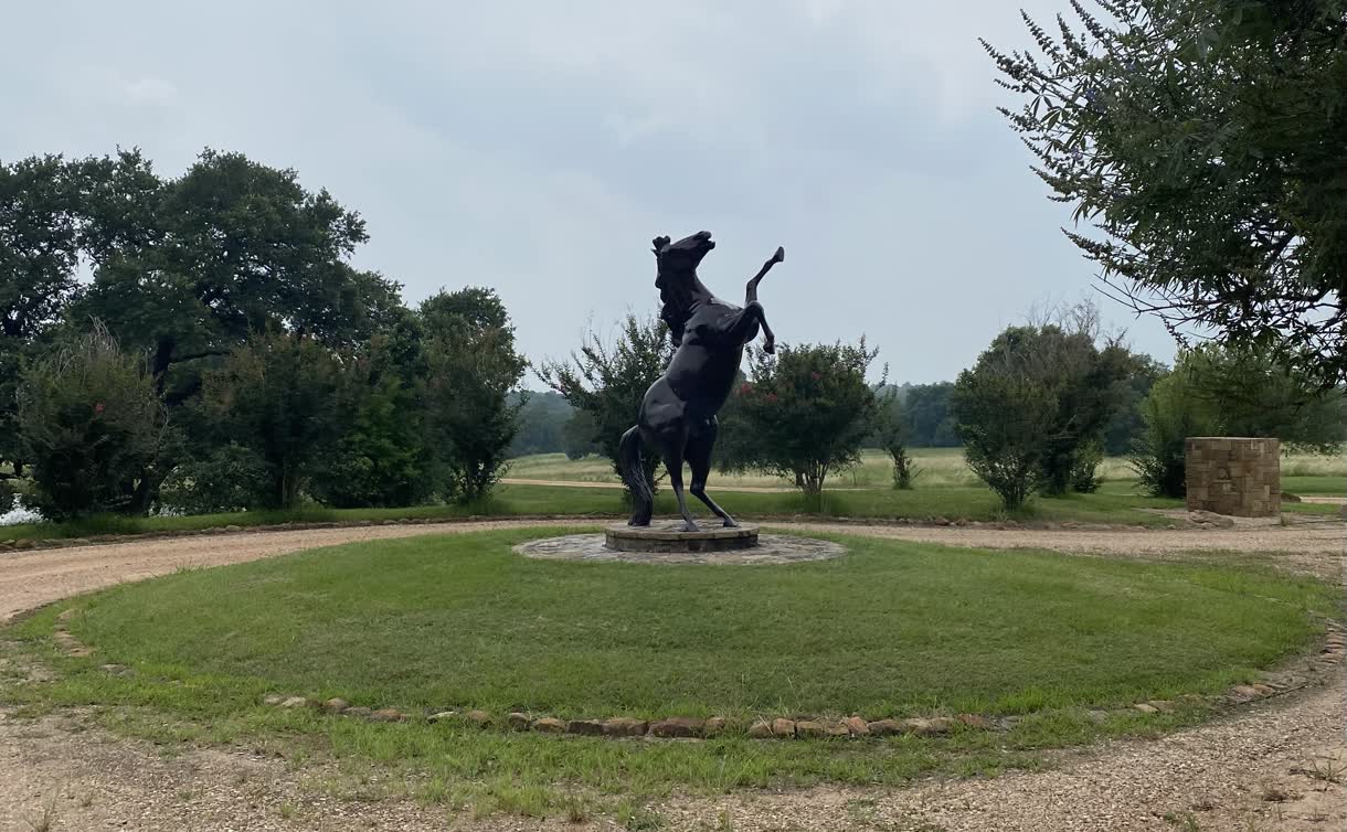 A bronze of a rearing horse on a stone plinth on the ranch lawn